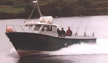 cygnus cyfish